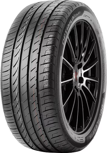DoubleStar 205/40R17 84W DU01
