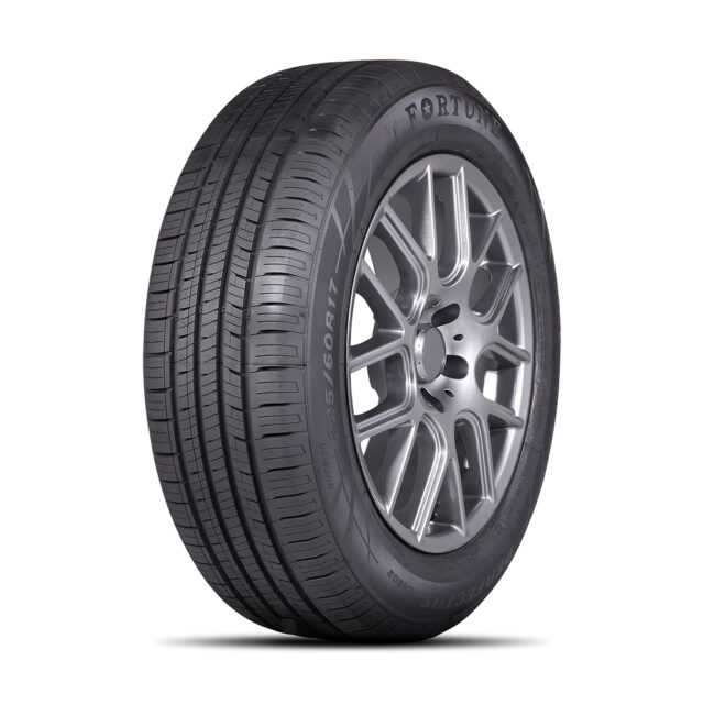 Fortune 215/65R16 98H Perfectus FSR602 TL